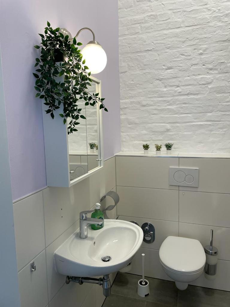 Cityperle - Ruhige Naehe Dom & Altstadt - Apartment
